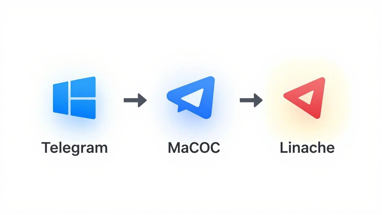 Сравнение путей к кэшу Telegram на Windows, macOS и Linux в виде стилизованных иконок.