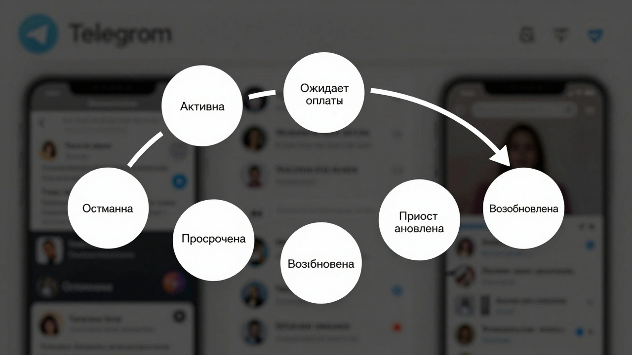 Цифровая панель с шестью статусами подписки, соединёнными стрелками, на фоне чата Telegram.