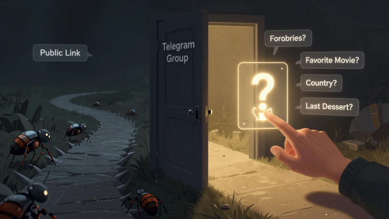 Дверь в группу Telegram: слева — путь ботов, справа — путь человека через капчу с изображением кошки.